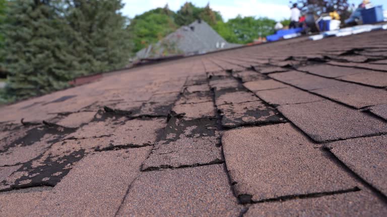 Best Wood Shake Roofing  in Wyandotte, MI