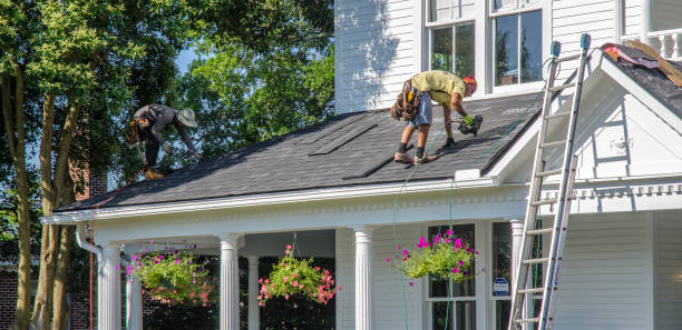 Best Roof Insulation Installation  in Wyandotte, MI